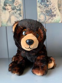 TY Beanie Bear Kodi