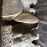 Vintage Pair 1960s Cast Brass Tone American Bald Eagle Bookend Decorative Desk Statue Image 3