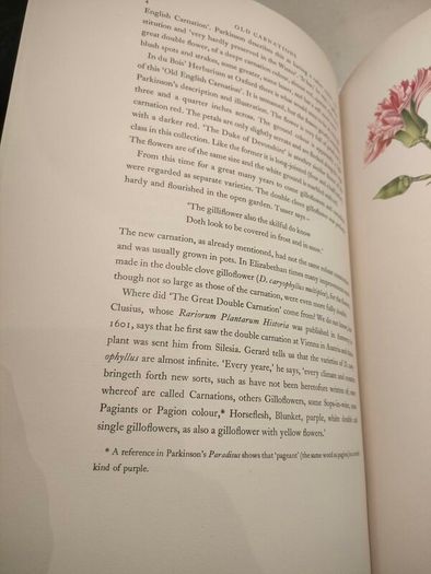 Old Carnations and Pinks First Edition