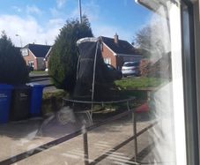 free trampoline large