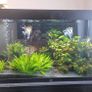 fish tank Image 3