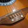 1970's Encore Electric Acoustic made in Italy/Japan Image 3