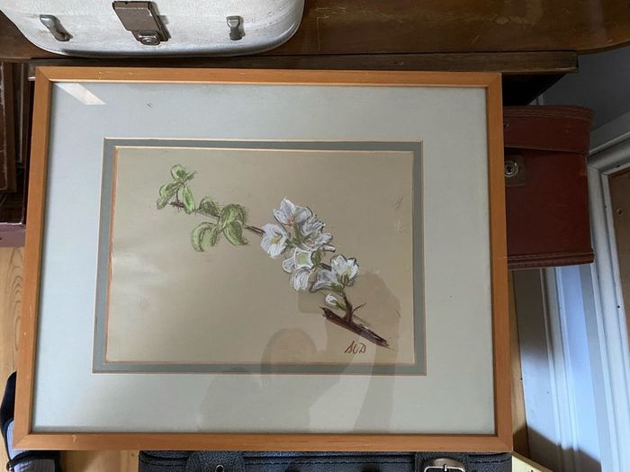 Botanical pastel drawing - framed