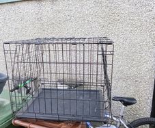 dog cage