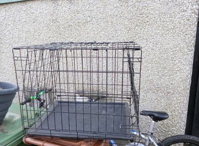 dog cage