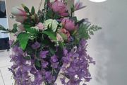 hanging basket purple