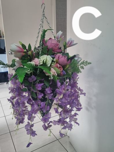 hanging basket purple