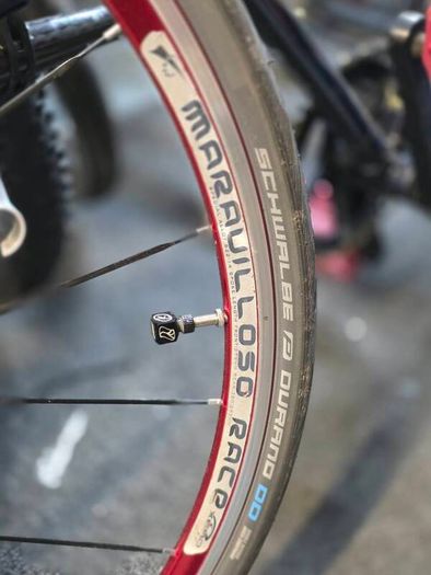 Vintage Nishiki Frame + Sealed Wheels