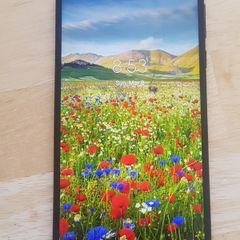 Motorola G8 plus unlocked