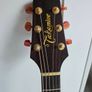Takamine Image 2
