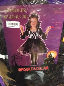 Toddler Spider Girl costume