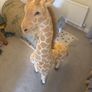 5ft giraffe toy/decoration Image 3