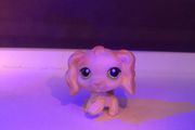 Littlest pet shop