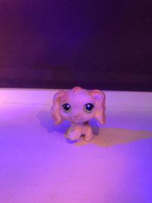 Littlest pet shop
