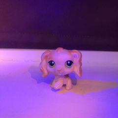 Littlest pet shop