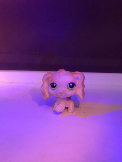 Littlest pet shop
