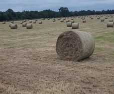 Bales of hay