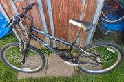 child bike 24 wheels,breaks,gears working,need chain )and small service so that's price!