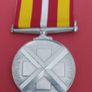 Nursing Long And Efficient Service Silver Medal Image 4