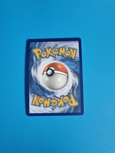 Pokemon V Bundle