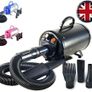 High Power Pet Hair Dryer for Dogs & Cats 2800W Image 4