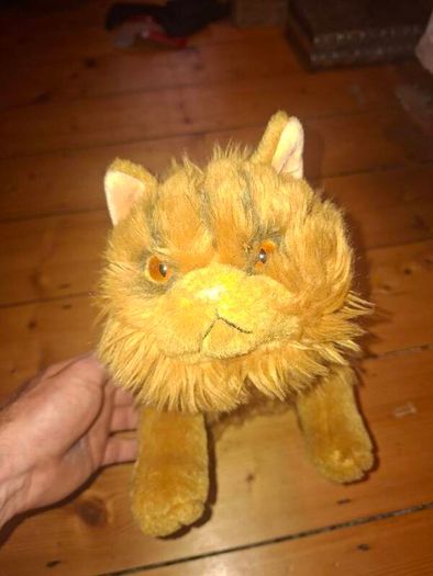 collector Teddies
