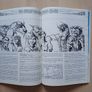 Dungeons & Dragons D&D In Search of New Gods - Vintage Fantasy RPG Scenario Module 1986 Image 7