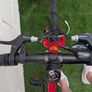 Red Frog 55 Kids Bike Image 3