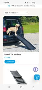 dog folding ramp