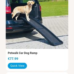 dog folding ramp