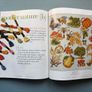 Vintage Better Homes and Gardens 2001 Cross Stitch Designs Reference Craft Book Image 3
