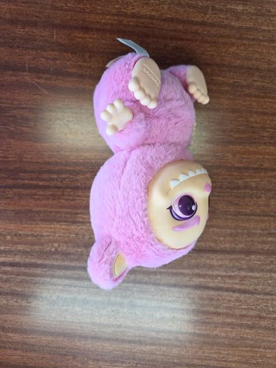 teddy