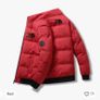 North face puffer Fake Image 5