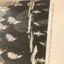 Life & Times of Eamon De Valera Image 10
