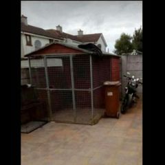 dog shed