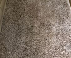 large Rug