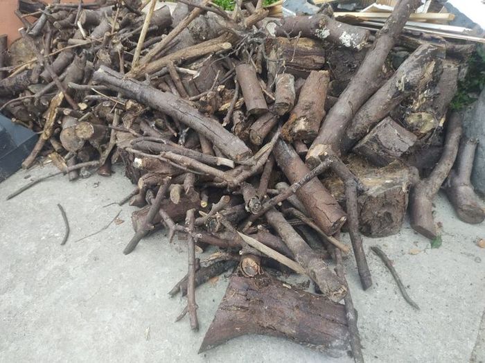 Free Fire Wood
