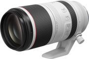 Canon RF 100-500mm f/4.5-7.1L IS USM - Like New - Mint Condition