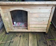 Dog Kennel