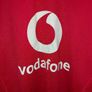 british and irish lions jersey Image 2
