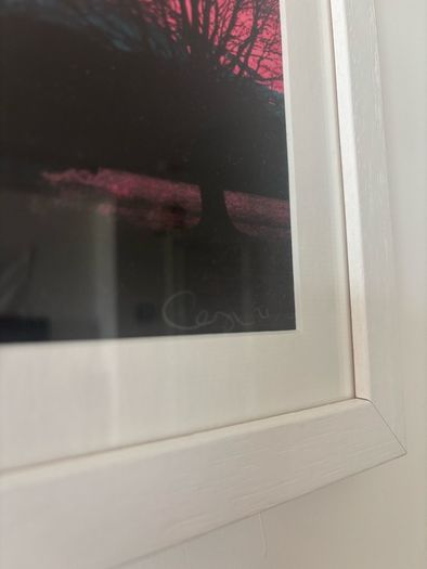 Carolyn Walsh "Phoenix Park" Signed Limited Edition Print, Custom Framed (7/20)