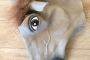 horse mask