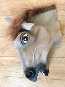 horse mask