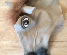 horse mask