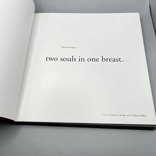 Two Souls in One Breast - Hardcover - Theresa Nanigian