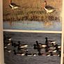 Ornamental water fowl Image 8