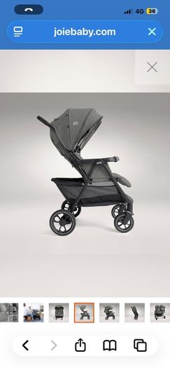 Joie Estrella signature Twin Evergreen