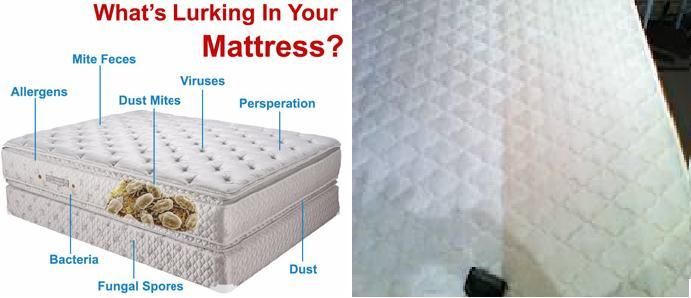 Upholstery Cleaning - Sofa Cleaners