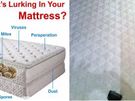 Upholstery Cleaning - Sofa Cleaners Image 9