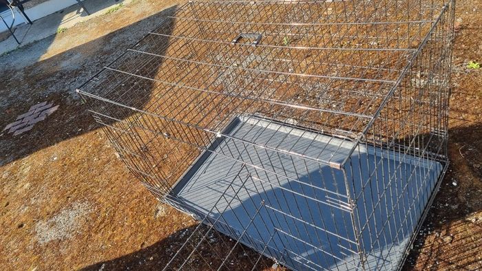 Dog cage